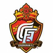 庆南FC